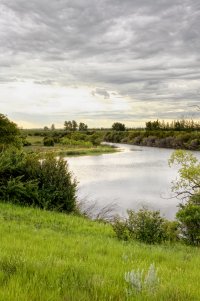 _MG_0568_DxO copy.jpg