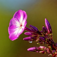 P8243494_M_email.jpg P8243494_M_email.jpg