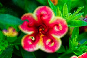 _36A0937_DxO copy.jpg