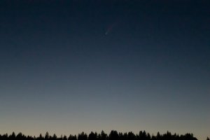 EMWR3911.jpg EMWR3911.jpg