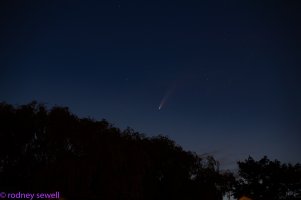 comet neowise.jpg comet neowise.jpg