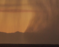 Screen Shot 2020-07-20 at 7.00.49 PM.png