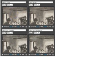 R5 R6 5D4 1Dx3 6400.jpg