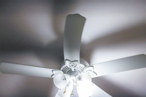 3G0A0086.jpg 3G0A0086.jpg