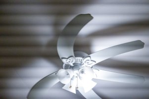 1R0_9958.jpg 1R0_9958.jpg