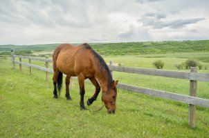 _DSF3276-Edit (1).jpg