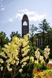 Westminster Abby-7.jpg