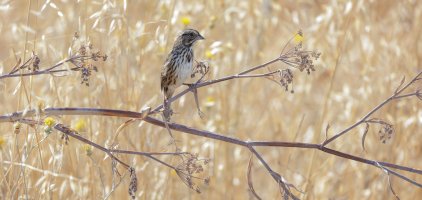 R5 6000x3000 crop Overexposure adj in LR.jpg