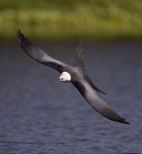 STK banking in R5 2500.jpg