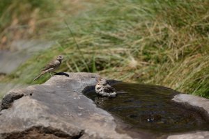 Original Pic Size-_.jpg