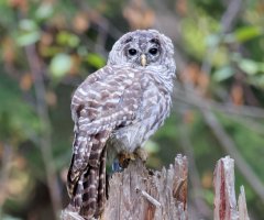 8E7A5566 DxO-studio.jpg