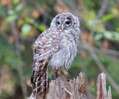 8E7A5569 DxO-studio.jpg