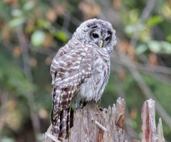 8E7A5579 DxO-studio.jpg