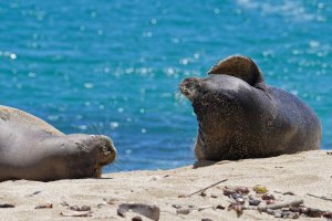 DSC_1296_DxO.jpg DSC_1296_DxO.jpg