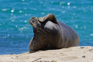 DSC_1300_DxO.jpg DSC_1300_DxO.jpg