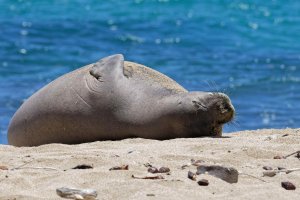 DSC_1343_DxO.jpg DSC_1343_DxO.jpg