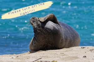 unnamed.jpg unnamed.jpg