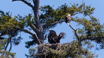 8E7A0643 DxO.jpg 8E7A0643 DxO.jpg