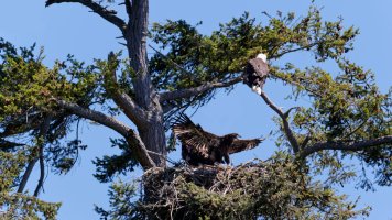 8E7A0656 DxO.jpg 8E7A0656 DxO.jpg