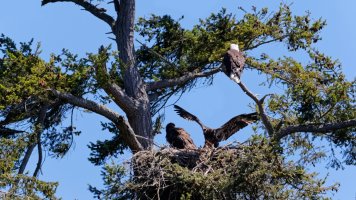 8E7A0658 DxO.jpg 8E7A0658 DxO.jpg