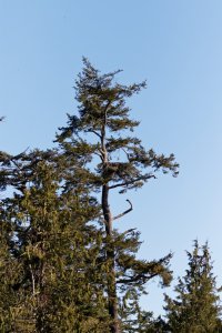 BNV_3413 DxO.jpg BNV_3413 DxO.jpg