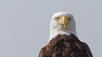 BNV26743 DxO-studio.jpg