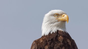 BNV26766 DxO-studio.jpg