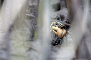 R5_100_1693.jpg R5_100_1693.jpg