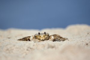 R5_100_1730.jpg R5_100_1730.jpg