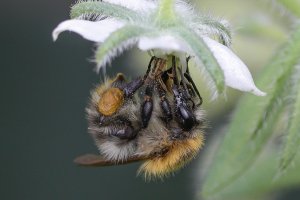 IMG_0320.jpg