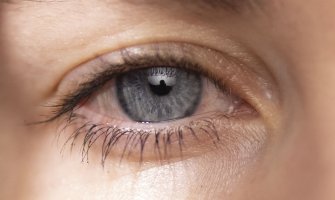 1.250 mechanical.JPG