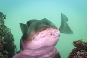 Bare Island - CR-1633.jpg