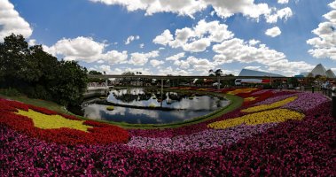 EPCOT Mosiac1_C1_Short_APR2017.jpg