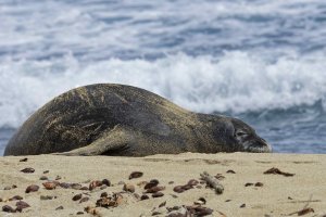 DSC_4647_DxO.jpg DSC_4647_DxO.jpg