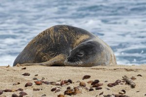 DSC_4658_DxO.jpg DSC_4658_DxO.jpg