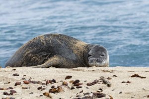 DSC_4681_DxO.jpg DSC_4681_DxO.jpg