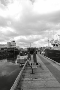 _36A7303Copyright Douglas Chisholm.jpg