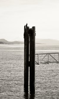 _36A7625Copyright Douglas Chisholm.jpg