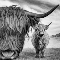 FB_IMG_1601628567544.jpg FB_IMG_1601628567544.jpg