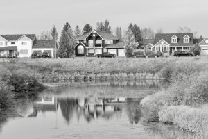 _DSF5455-sharpen-sharpen copy.jpg