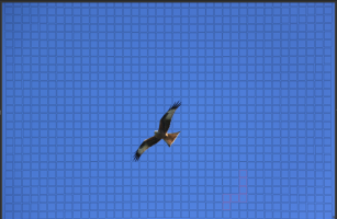 screenshot2 - Kopie.png