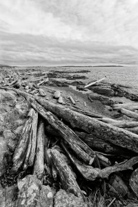 _36A7146_DxO copy.jpg