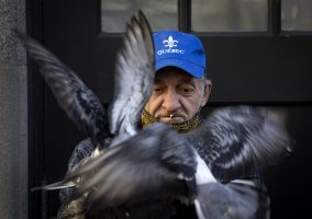 AMC20 1027 Montreal Parks 1214x.jpg