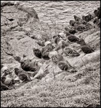 _36A1102_DxO copy.jpg