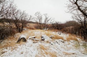 _MG_0840_DxO.jpg