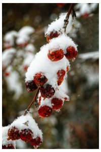 _36A2522_DxO copy.jpg
