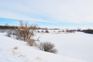 _DSF5908.jpg