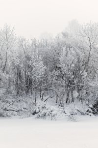 _36A2562_DxO.jpg