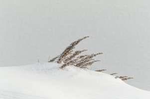 _36A2566_DxO.jpg