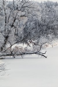_36A2565_DxO.jpg